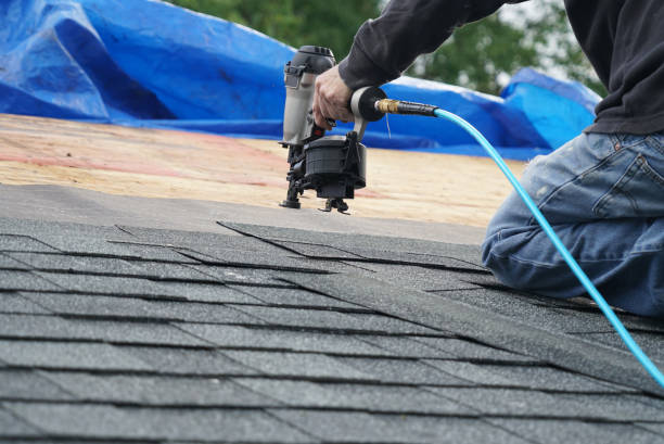 Best Metal Roofing Contractor  in Burlington, KS